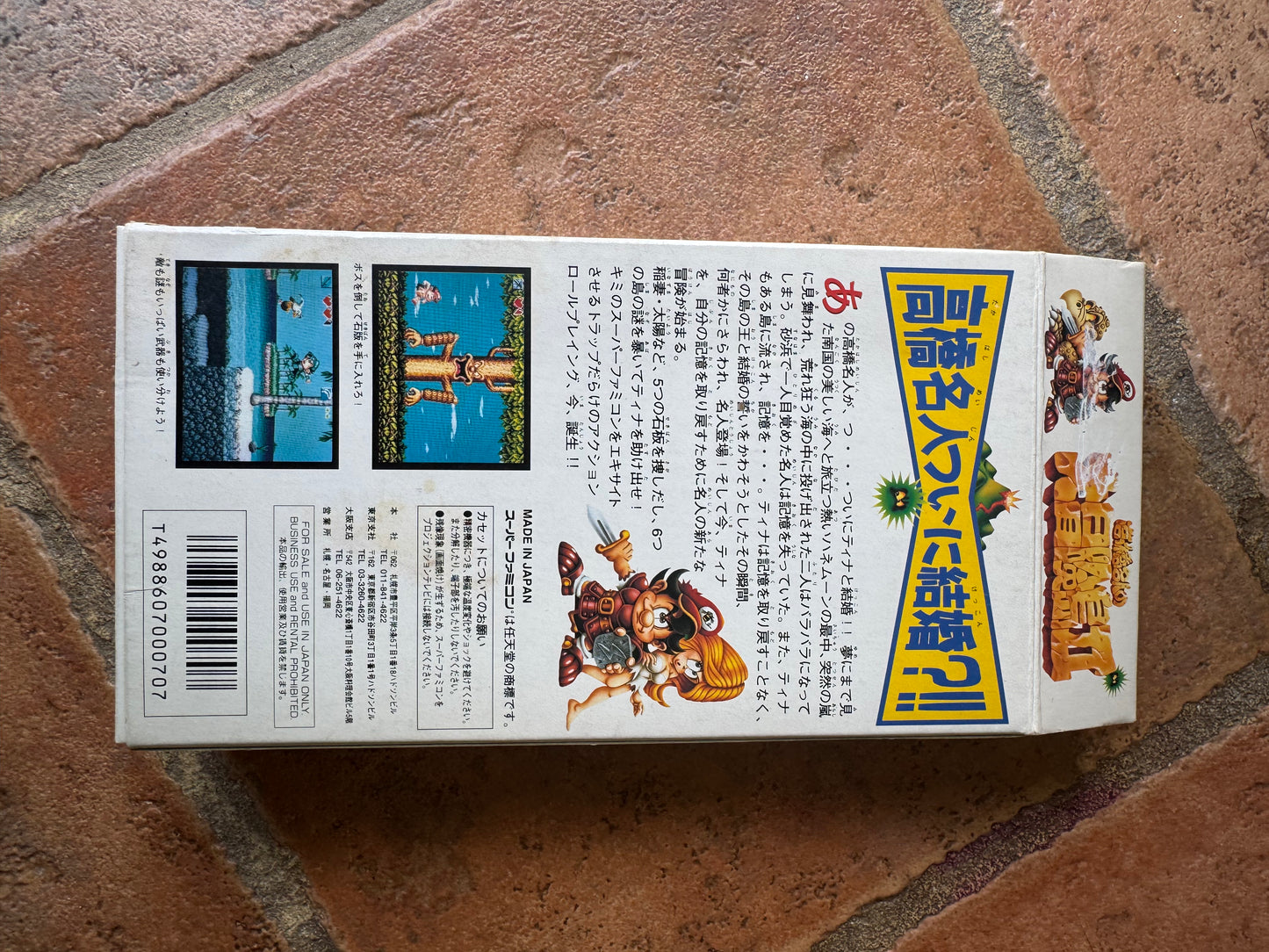 Super Adventure Island 2